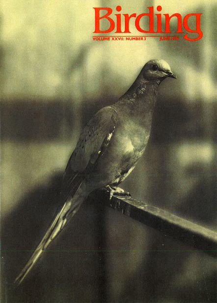 Birding, Volume XXVII, Number 3, June 1995